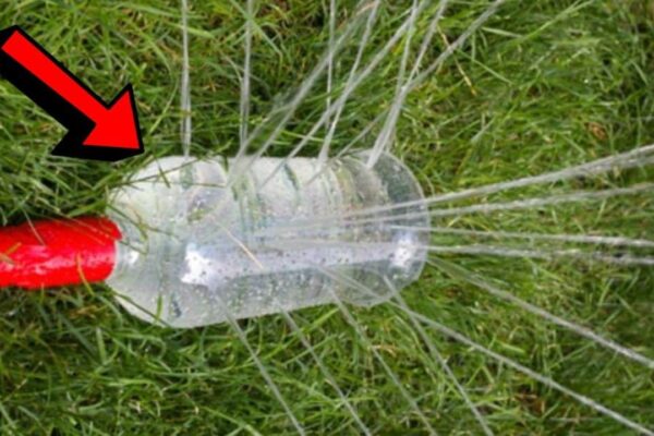 Finished Easy 5-Minute DIY Water Sprinkler Using a Plastic Bottle!, a completed DIY project
