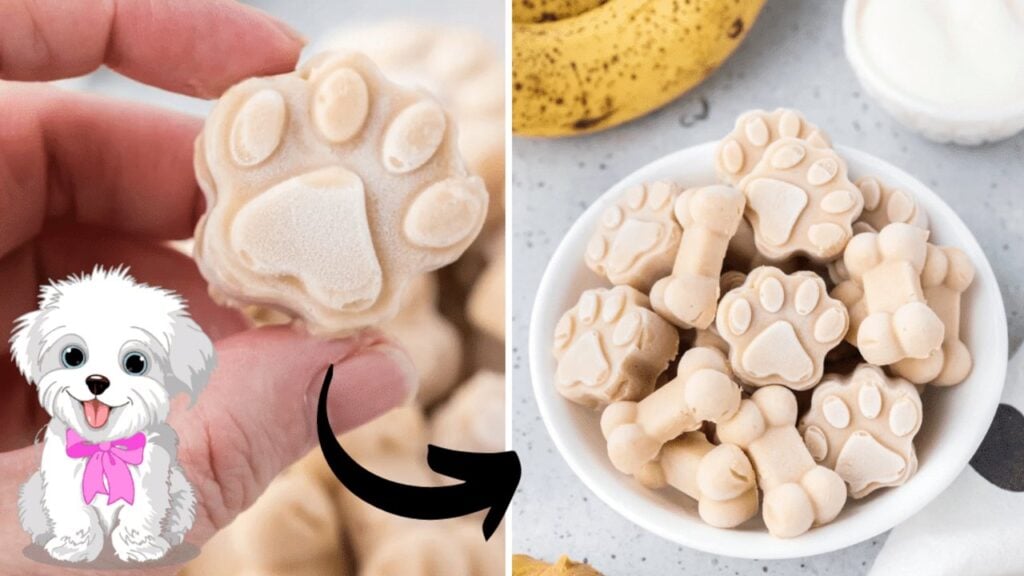 Ice Cream for Dogs, homemade and freshly served