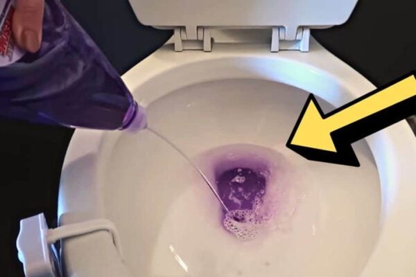 Learn This Bathroom Cleaning Hack Using Dollar Tree Items