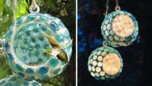 Finished Easy Dollar Tree DIY Outdoor Lantern/Bird Feeder, a completed DIY project
