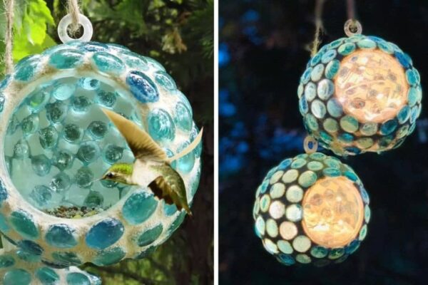 Finished Easy Dollar Tree DIY Outdoor Lantern/Bird Feeder, a completed DIY project