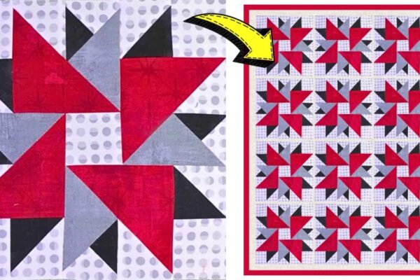 Finished Easy Double Aster Quilt Block (with Free Pattern), a completed DIY project