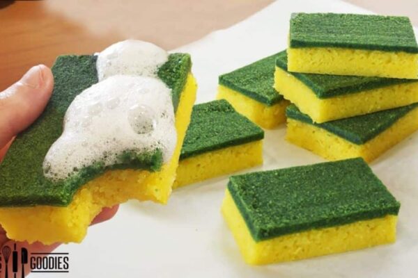 Easy Edible Dish Sponge Cake, homemade and freshly served