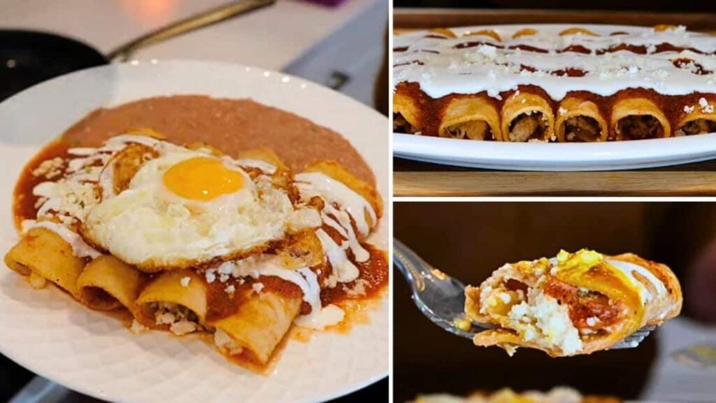 5-Star Easy Enchiladas, homemade and freshly served