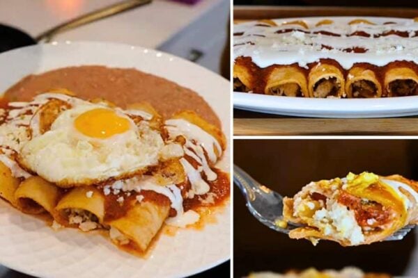 5-Star Easy Enchiladas, homemade and freshly served