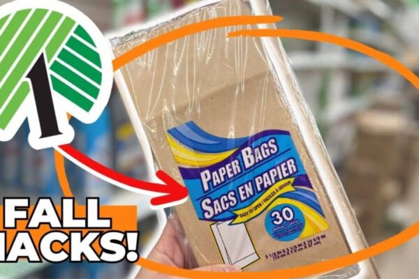 Finished 10 Life-Changing Dollar Tree Hacks for Fall & Halloween, a completed DIY project