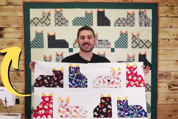 Finished Easy Floppy Ear Cat Quilt, a completed DIY project