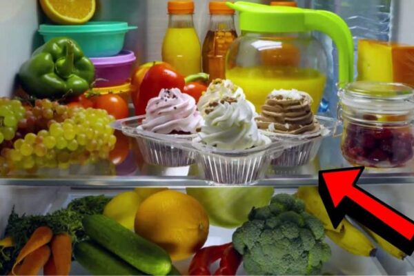 Finished 7 Food-Freezing Hacks That You Should Know, a completed DIY project