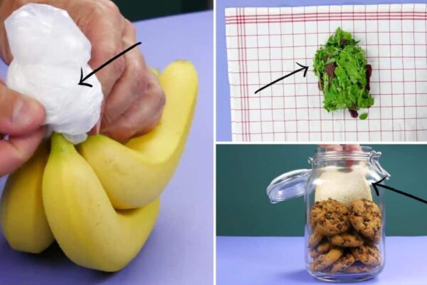 7 Tricks to Keep Your Food from Spoiling