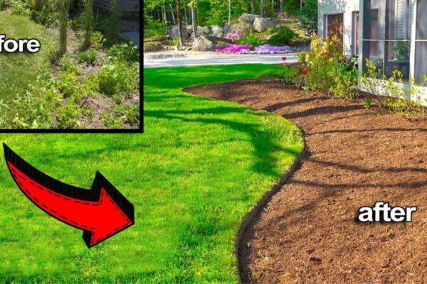 Learn How to Get Clean Edges in Your Lawn the Easy Way