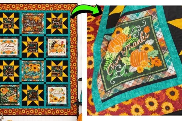 Finished Easy Gather Together Panel Quilt, a completed DIY project