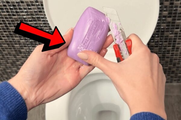 Easy Toilet Limescale Cleaning Hack, homemade and freshly served
