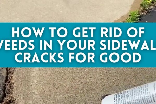 How to Get Rid of Weeds in Your Walkway Cracks For Good, homemade and freshly served