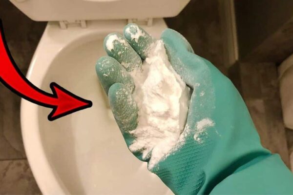 How To Remove Hard Water Stains From Toilet