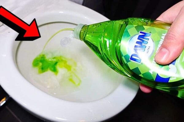 Finished How To Unclog A Toilet Without A Plunger Using Dish Soap, a completed DIY project