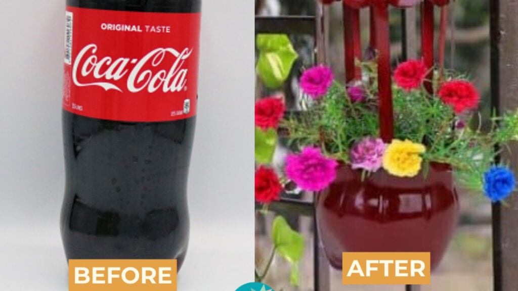 Finished Easy Hanging Flower Pot Made from Plastic Bottle, a completed DIY project