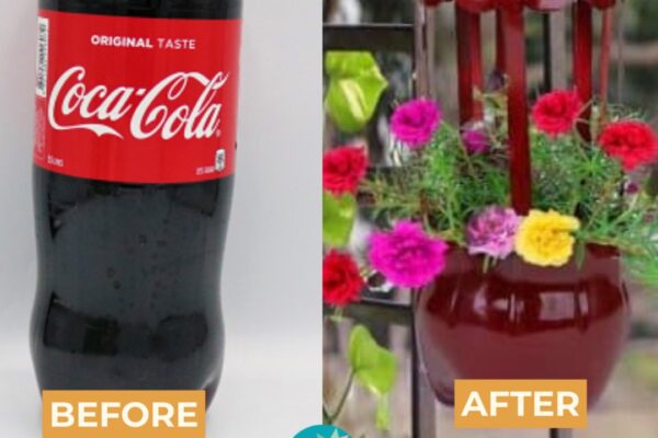 Finished Easy Hanging Flower Pot Made from Plastic Bottle, a completed DIY project