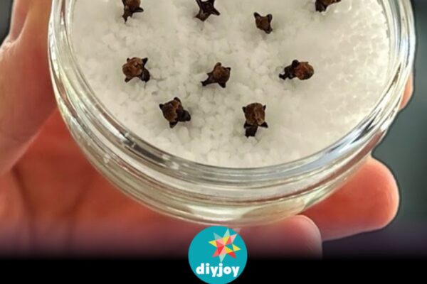 Learn the Secret to Make Your House Smell Good All the Time!