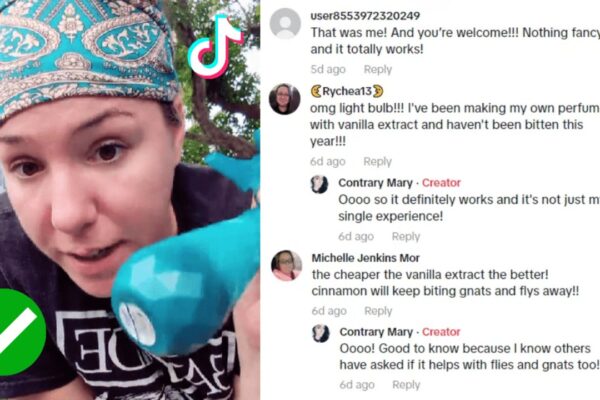 Finished Try This Viral TikTok Hack That Repels Mosquito!, a completed DIY project