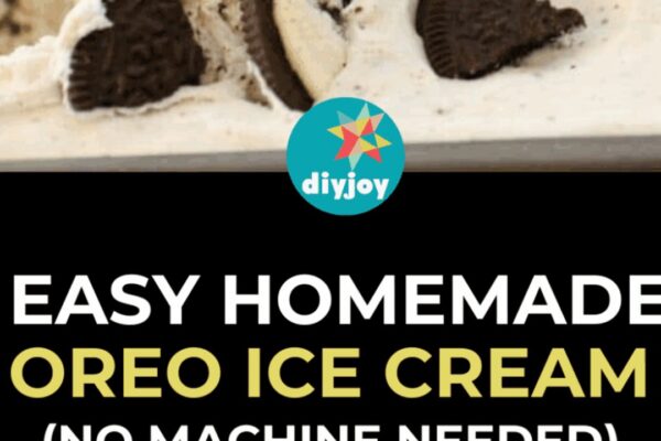 Easy Homemade Oreo Ice Cream (No Machine Needed), homemade and freshly served
