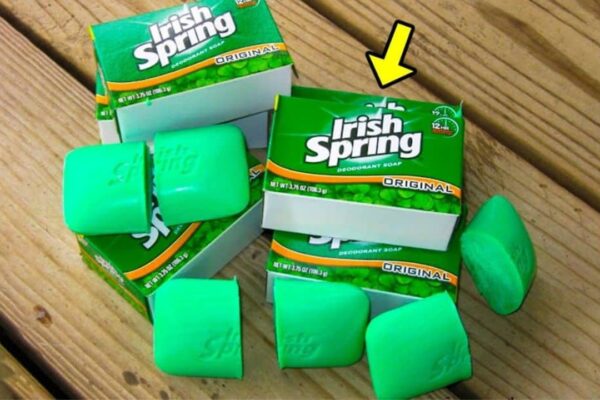 Finished How to Keep Yard Pests Away Using Irish Spring Soap, a completed DIY project