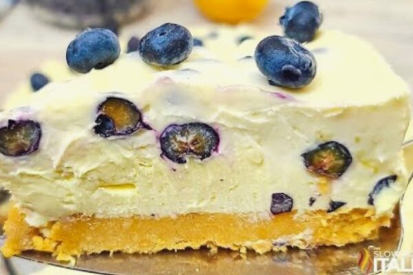 Easy No-Bake Lemon Blueberry Cheesecake, homemade and freshly served