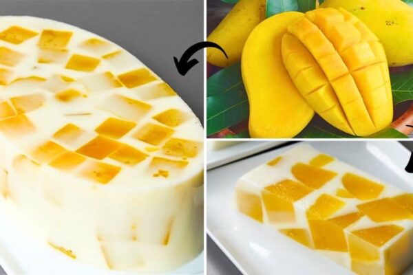 Easy No-Bake Mango Jelly Pudding Dessert, homemade and freshly served