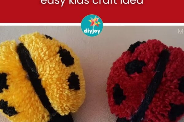 Finished Easy Beginner-Friendly DIY Yarn Ladybug, a completed DIY project