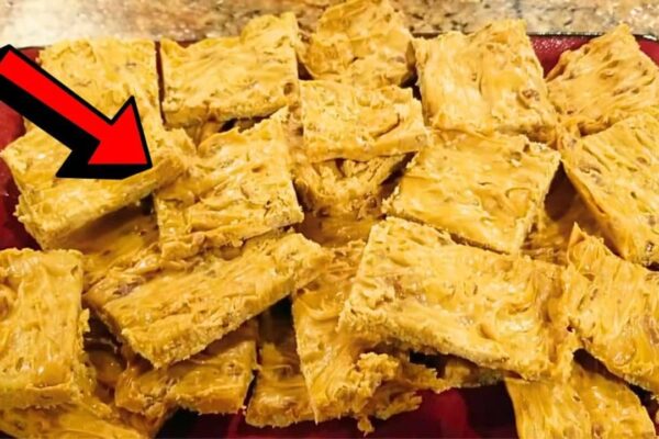 Old-Fashioned 5-Star Pecan Candy, homemade and freshly served