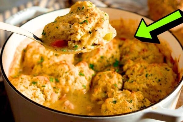 Easy One-Pot Chicken Stew & Dumplings, homemade and freshly served