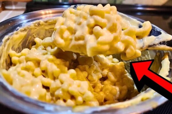 One-Pot 3-Ingredient Creamy Mac & Cheese, homemade and freshly served
