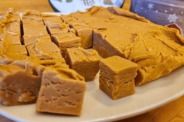 Easy 2-Ingredient Peanut Butter Fudge, homemade and freshly served