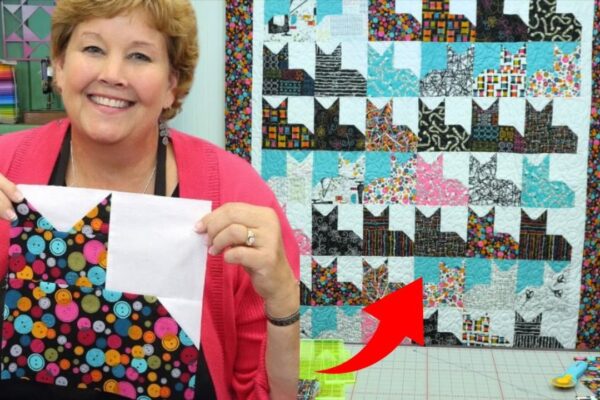 Finished Make an Easy Pins and Paws Quilt, a completed DIY project
