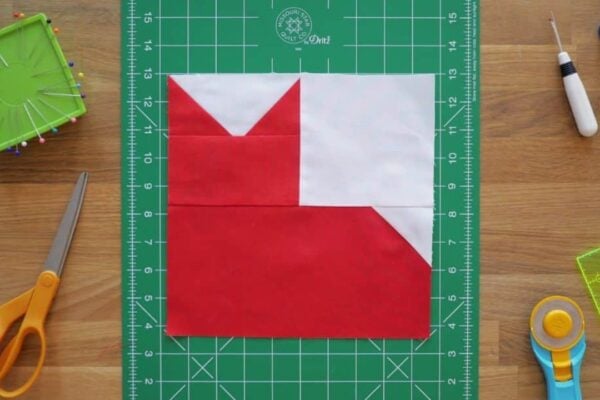 Finished Easy Pins and Paws Quilt, a completed DIY project