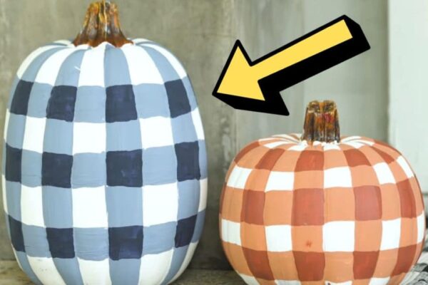 Finished Super Easy DIY Pumpkin Painting, a completed DIY project
