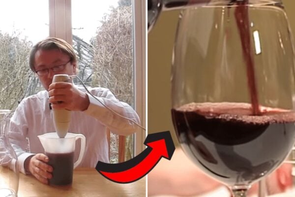 Red Wine Hack Promises to Make Any Bottle Taste Great, homemade and freshly served