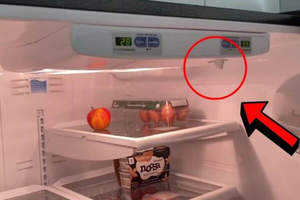Finished How to Quickly Fix a Fridge That is Not Cooling, a completed DIY project