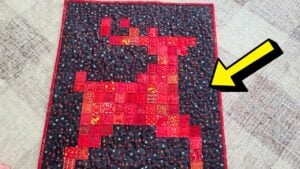 Finished Easy Reindeer Quilt, a completed DIY project