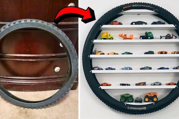 Finished Easy-to-Build DIY Shelf Using an Old Bike Tire, a completed DIY project