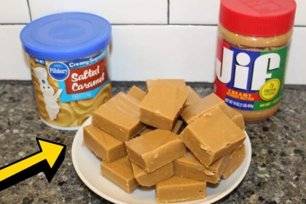 2-Ingredient Salted Caramel Peanut Butter Fudge, homemade and freshly served