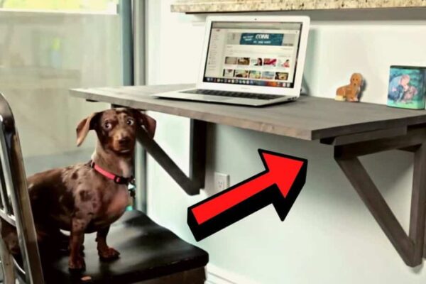 Finished Easy Space-Saver Foldable Desk, a completed DIY project