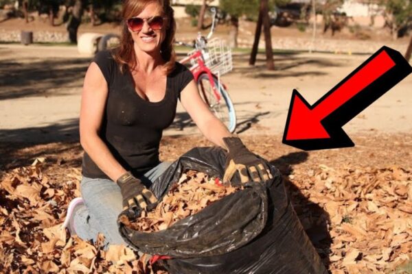 5 Easy Steps to Prepare your Soil for Spring