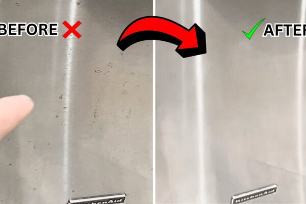Finished How to Remove Rust Spots on Appliances, a completed DIY project