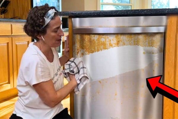 Finished Professional Stainless Steel Cleaning Hack, a completed DIY project
