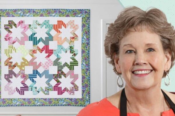 Finished a Starlight Quilt (with Free Pattern), a completed DIY project