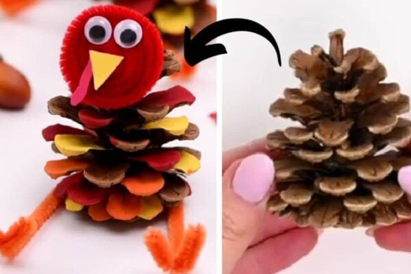 Finished a DIY Pinecone Turkey | Easy Thanksgiving Décor, a completed DIY project