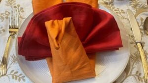 Finished Easy Thanksgiving Turkey Folded Napkin, a completed DIY project