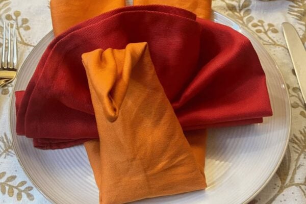 Finished Easy Thanksgiving Turkey Folded Napkin, a completed DIY project