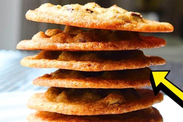 Learn How to Make Thin Chocolate Chip Cookies, homemade and freshly served