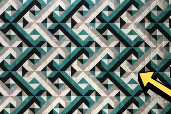 Finished Easy-to-Make 3-Dimensional Quilt (with Free Pattern), a completed DIY project